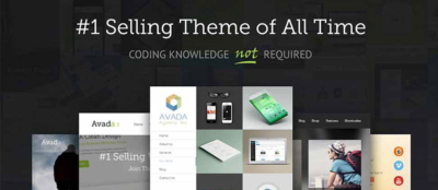 Developer Insights – Introducing the Avada Theme