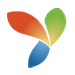 wordpress_developers_ central-queensland_yii