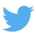 web_development_and_ecommerce_solutions_twitter_icon