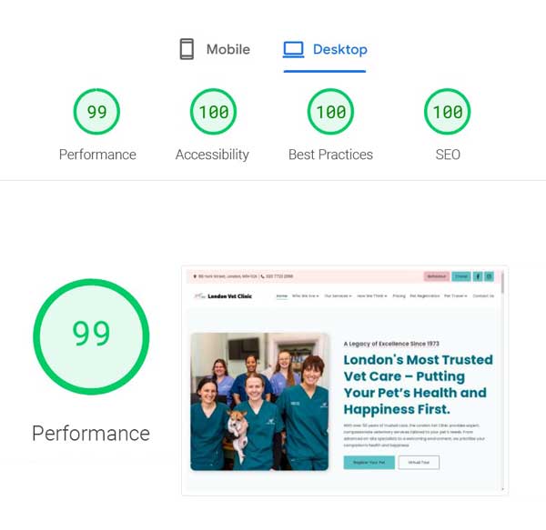 London Vet Clinic Core Web Vitals Score Screenshot